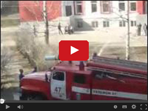 Rosyjscy strażacy wezwani do kota